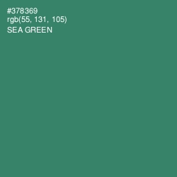 #378369 - Sea Green Color Image
